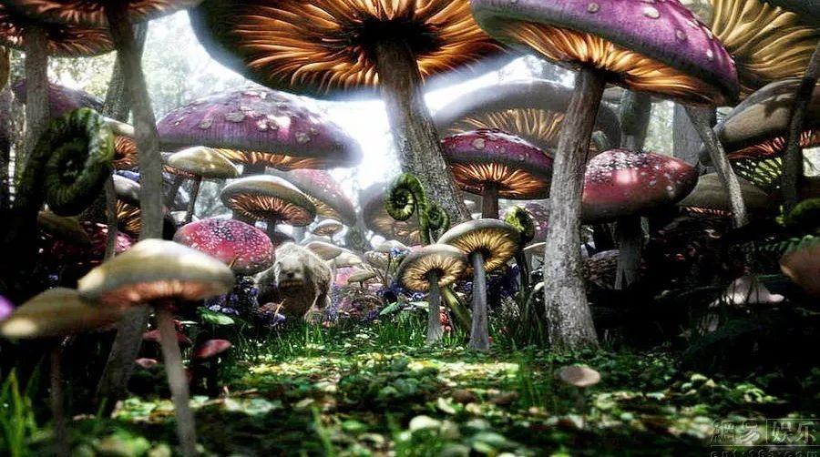 一路走来，张柏芝用自己的行动告诉大家一定要坚强勇敢